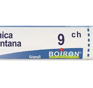ARNICA 9CH GR 4G